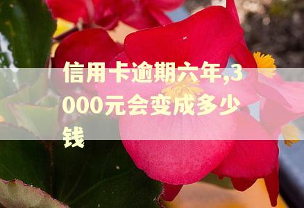 信用卡逾期六年,3000元会变成多少钱
