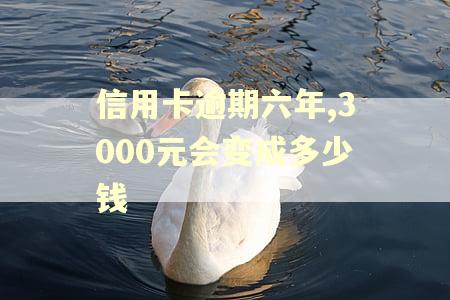 信用卡逾期六年,3000元会变成多少钱