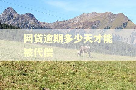 网贷逾期多少天才能被代偿