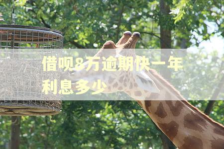 借呗8万逾期快一年利息多少
