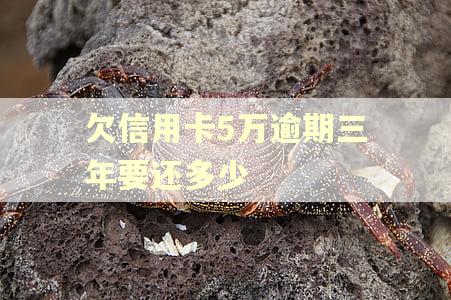 欠信用卡5万逾期三年要还多少