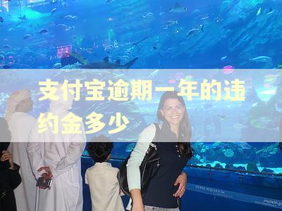 支付宝逾期一年的违约金多少