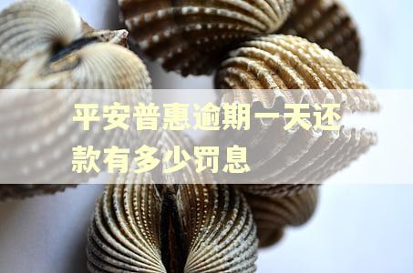 平安普惠逾期一天还款有多少罚息
