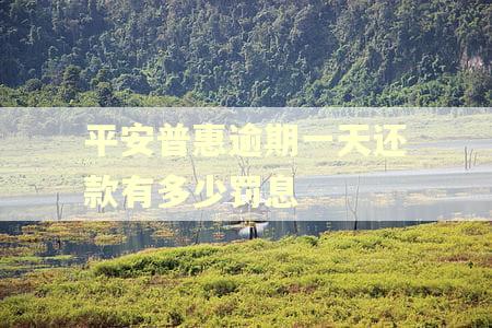 平安普惠逾期一天还款有多少罚息