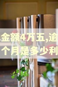 总金额4万五,逾期一个月是多少利息