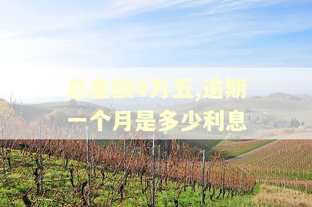 总金额4万五,逾期一个月是多少利息