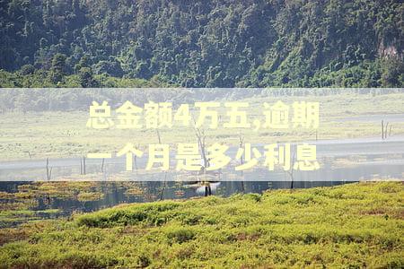 总金额4万五,逾期一个月是多少利息