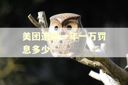 美团逾期一年一万罚息多少