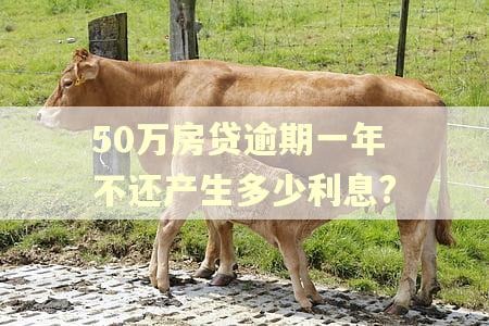 50万房贷逾期一年不还产生多少利息?