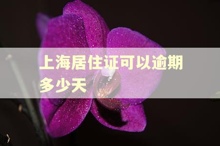上海居住证可以逾期多少天