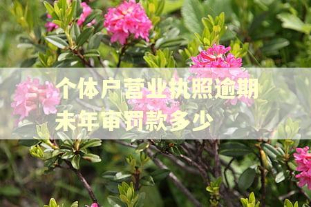个体户营业执照逾期未年审罚款多少