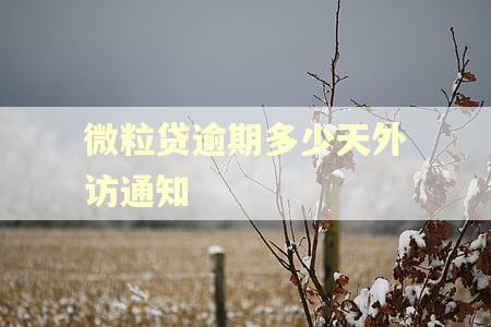微粒贷逾期多少天外访通知