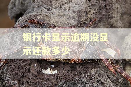 银行卡显示逾期没显示还款多少