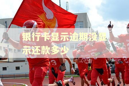银行卡显示逾期没显示还款多少