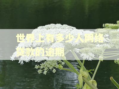 世界上有多少人网络贷款的逾期 世界上有多少人网络贷款的逾期