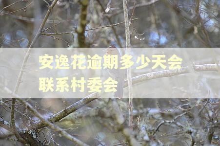 安逸花逾期多少天会联系村委会