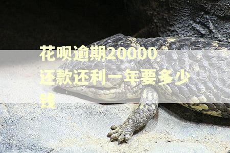 花呗逾期20000还款还利一年要多少钱