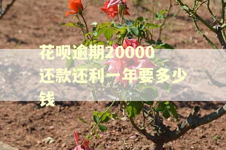 花呗逾期20000还款还利一年要多少钱