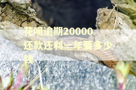 花呗逾期20000还款还利一年要多少钱
