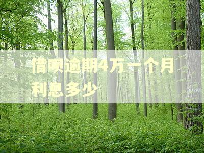 借呗逾期4万一个月利息多少 借呗逾期4万一个月利息多少