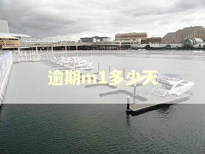 逾期m1多少天