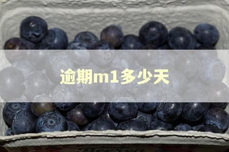 逾期m1多少天