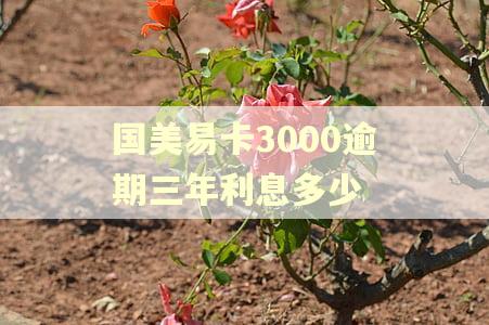 国美易卡3000逾期三年利息多少