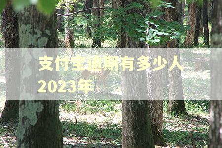 支付宝逾期有多少人2023年