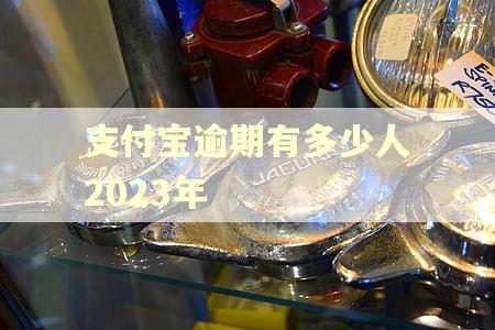 支付宝逾期有多少人2023年