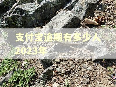 支付宝逾期有多少人2023年