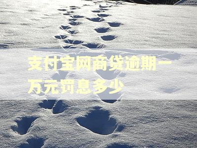 支付宝网商贷逾期一万元罚息多少