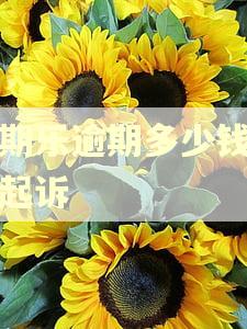 分期乐逾期多少钱会被起诉