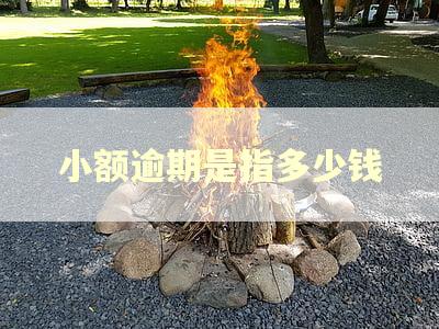 小额逾期是指多少钱
