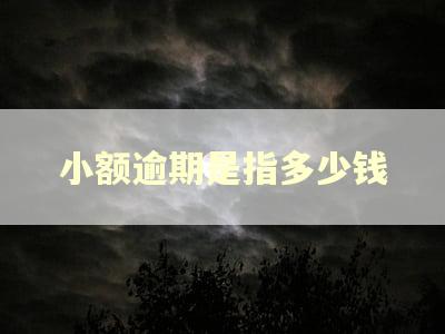 小额逾期是指多少钱