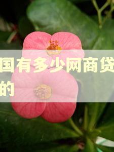 全国有多少网商贷逾期的