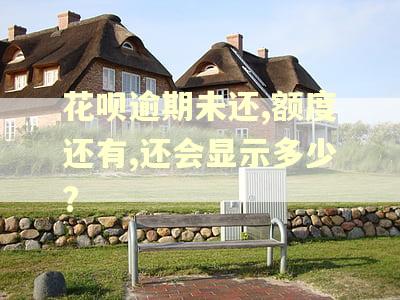 花呗逾期未还,额度还有,还会显示多少?