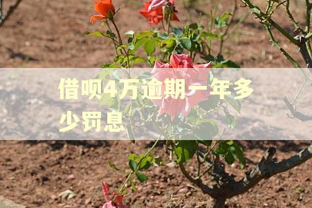 借呗4万逾期一年多少罚息