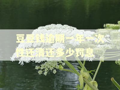 豆豆钱逾期一年一次性还清还多少罚息