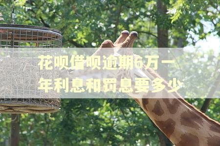 花呗借呗逾期6万一年利息和罚息要多少