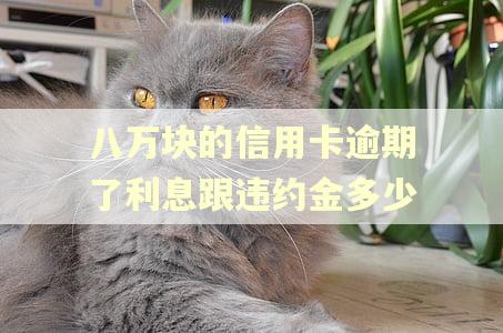 八万块的信用卡逾期了利息跟违约金多少