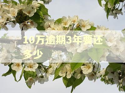 10万逾期3年要还多少