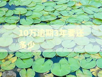10万逾期3年要还多少