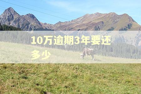 10万逾期3年要还多少