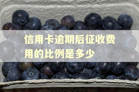 信用卡逾期后征收费用的比例是多少