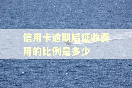 信用卡逾期后征收费用的比例是多少