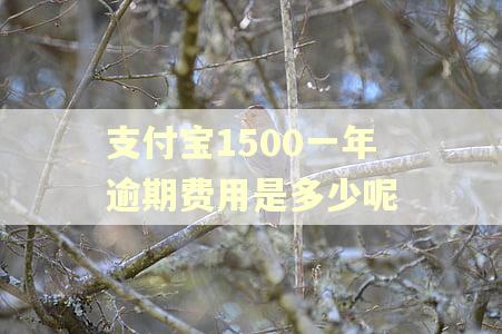 支付宝1500一年逾期费用是多少呢