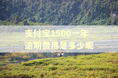 支付宝1500一年逾期费用是多少呢