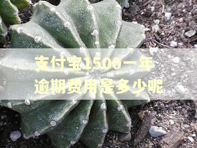 支付宝1500一年逾期费用是多少呢