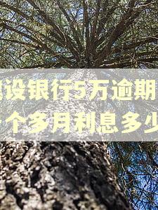 建设银行5万逾期了一个多月利息多少