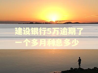 建设银行5万逾期了一个多月利息多少